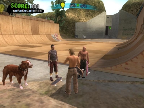 Tony Hawks American Wasteland Game picture 2