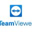 How to Install TeamViewer v13.0.6447