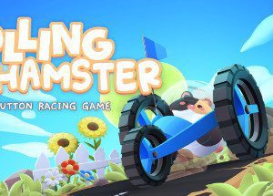 Rolling Hamster Game