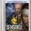 Sengoku Dynasty Best Action Video PC Game