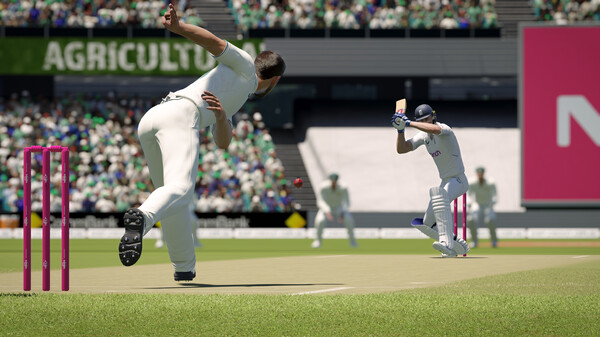 Cricket 24 game Download For PC