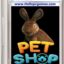 Pet Shop Simulator Windows Base Indie Game