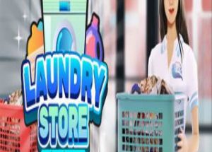 Laundry Store Simulator