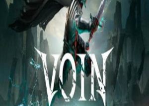 VOIN