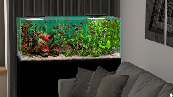 Behind Glass: Aquarium Simulator PC Game Screenshot