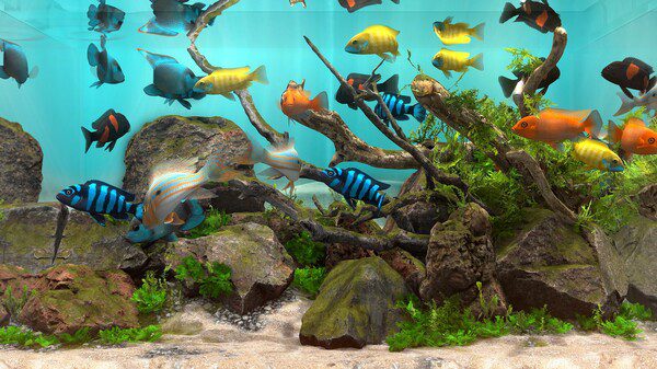 Behind Glass: Aquarium Simulator PC Game Screenshot 2