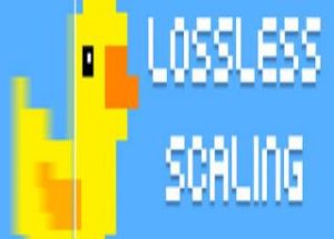 Lossless Scaling