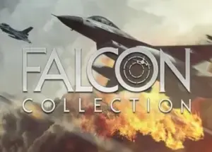 Falcon Collection